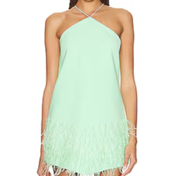 ALEXIS BRISTAL FEATHER DRESS - Picture 4 of 4